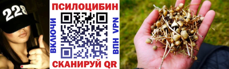 наркошоп  Воткинск  Галлюциногенные грибы Cubensis 